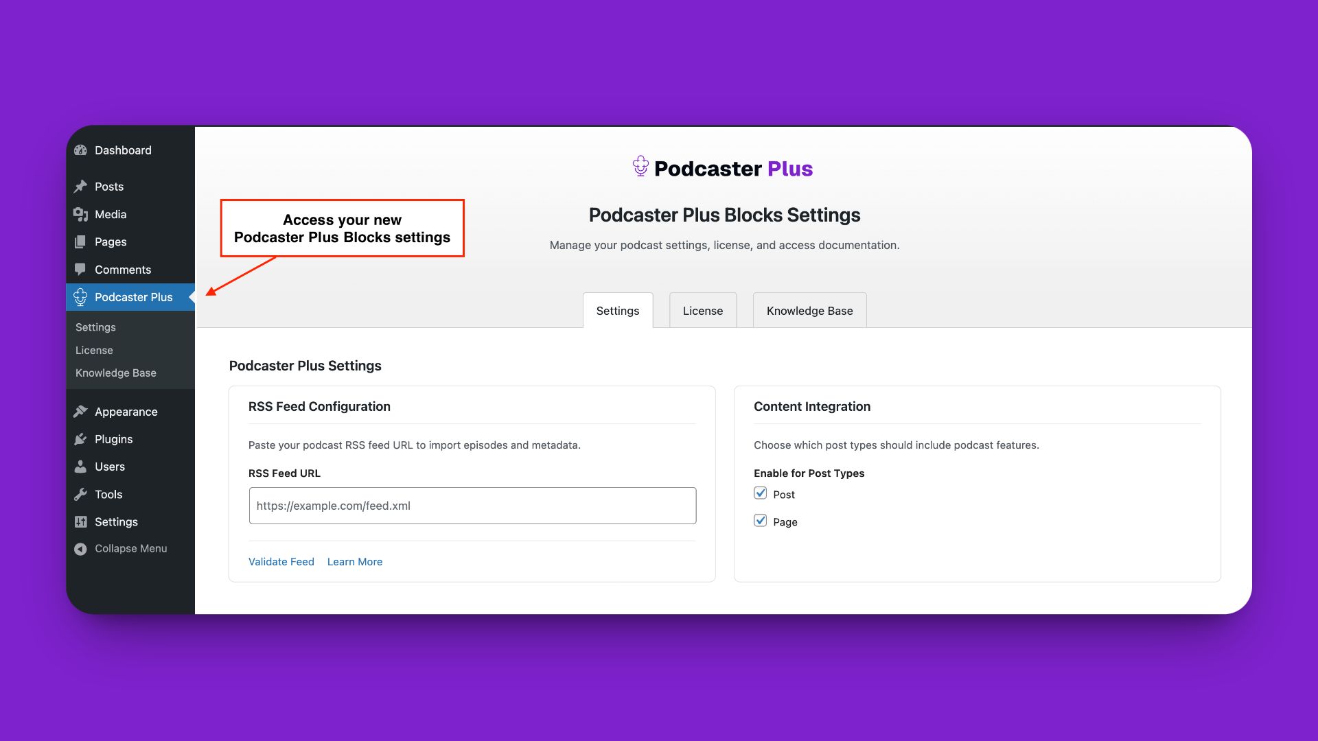 pp settings WordPress admin screen showing the Podcaster Plus Blocks settings